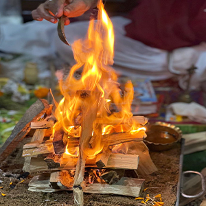 Homa Services